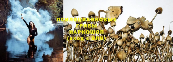 альфа пвп Бугульма